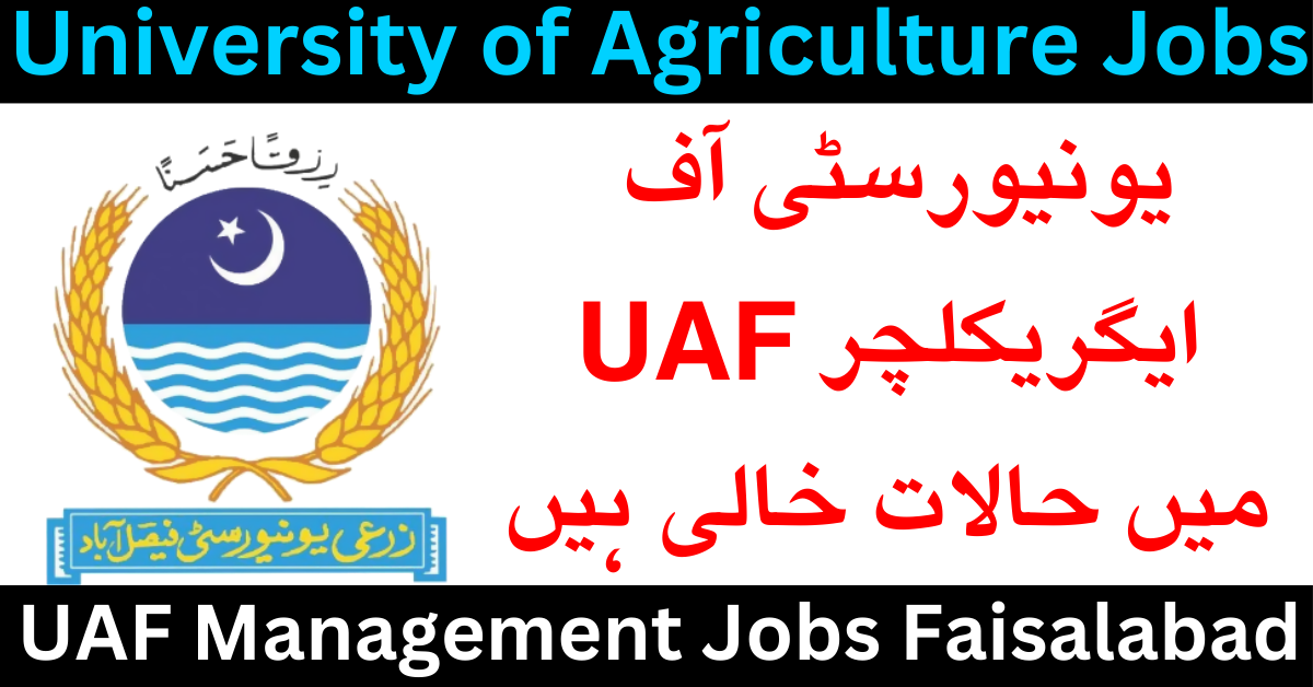 Situations Vacant At University Of Agriculture UAF