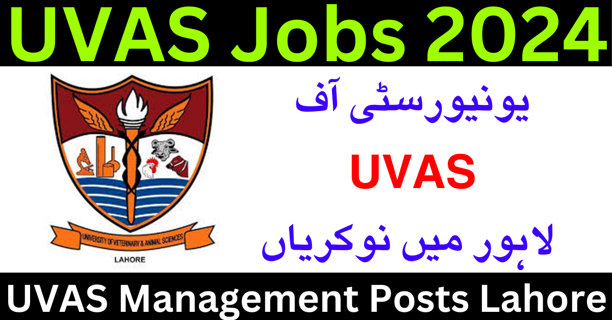 University Of Veterinary And Animal Sciences UVAS Jobs 2024